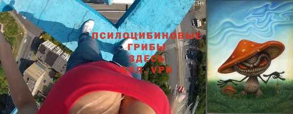 бошки Алексеевка