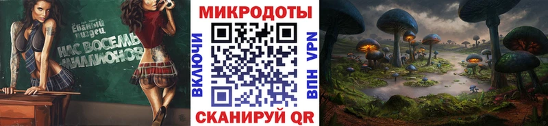 цена   Циолковский  мориарти официальный сайт  Псилоцибиновые грибы мицелий 