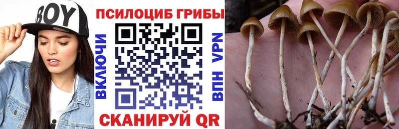 Галлюциногенные грибы ЛСД Циолковский